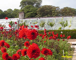 Lost gardens of Heligan